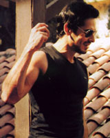 Dino Morea